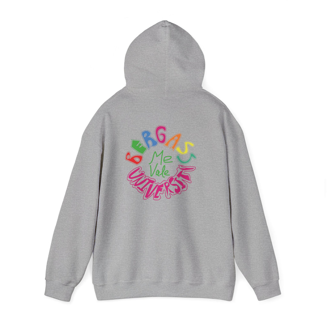 Unisex pullover hoodie with university-style embroidery and relaxed fit